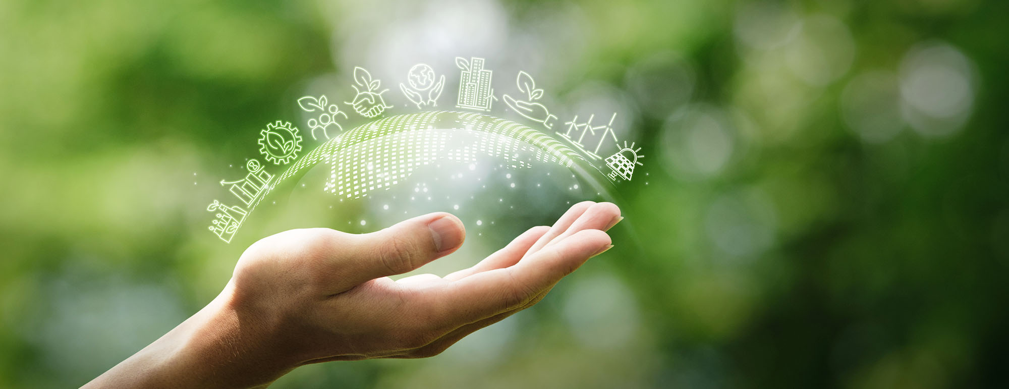 Introducing our Responsible Banking Statement